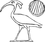 edizioni2000diciassette.com